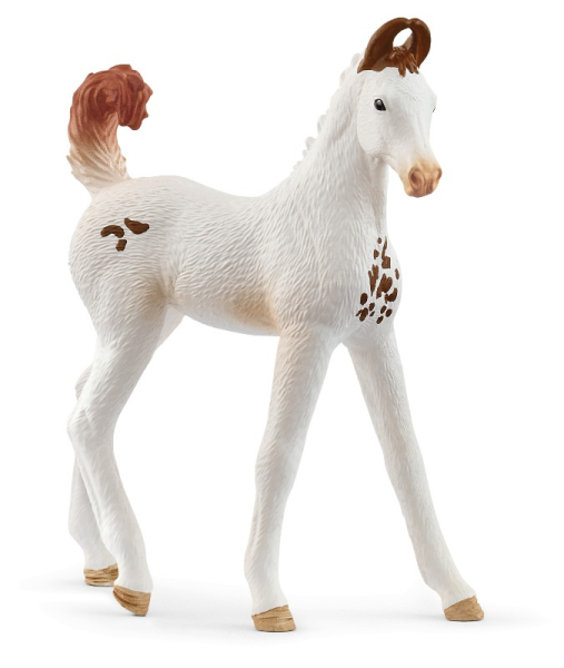 Schleich Marwari Foal — immagine 1