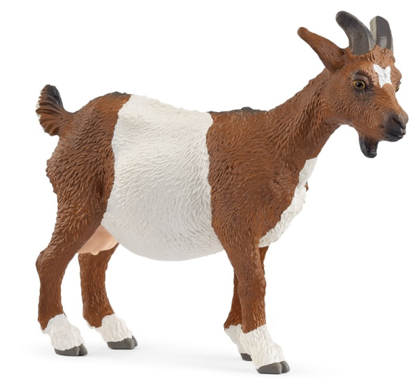 SCHLEICH CAPRA — immagine 1