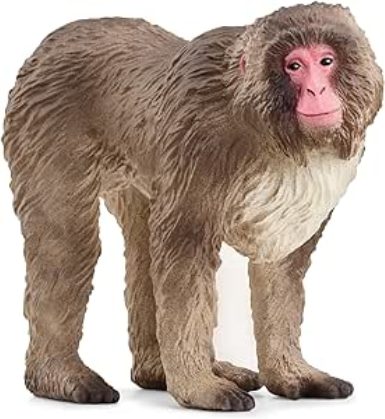 Schleich Macaco Giapponese — immagine 1