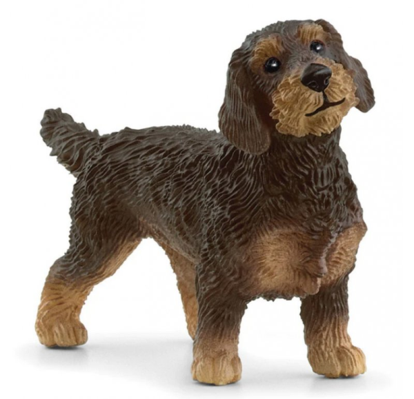SCHLEICH BASSOTTO A PELO RUVIDO — immagine 1