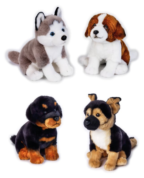 CANE PETS DOGS SEDUTI ASS. MY PUPPY — immagine 1