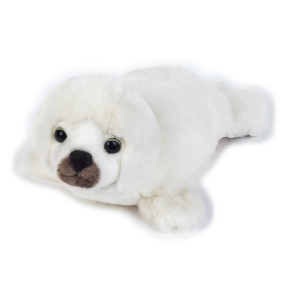 FOCA — immagine 1