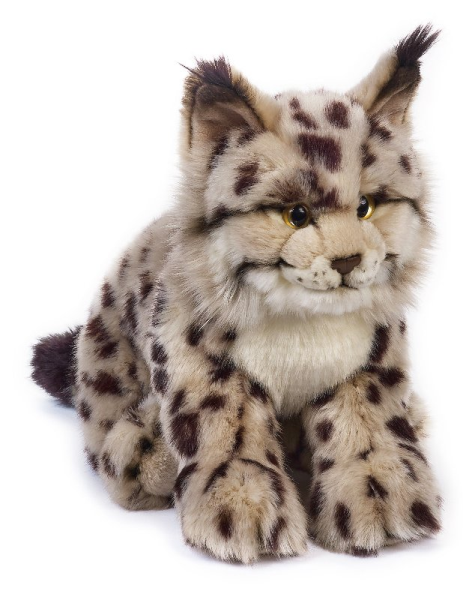 LINCE