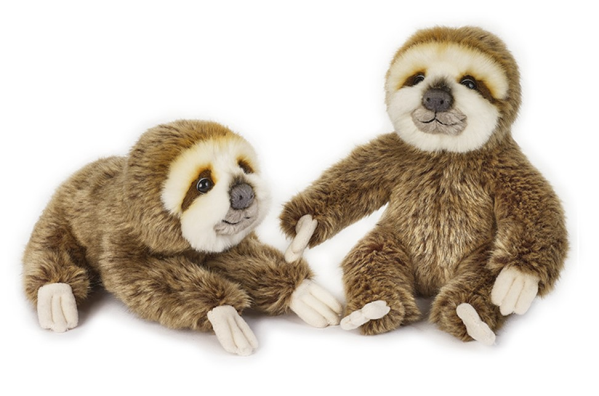 BABY BRADIPO SEDUTO E STESO