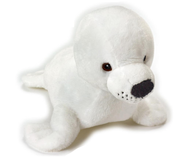 FOCA MEDIA — immagine 1