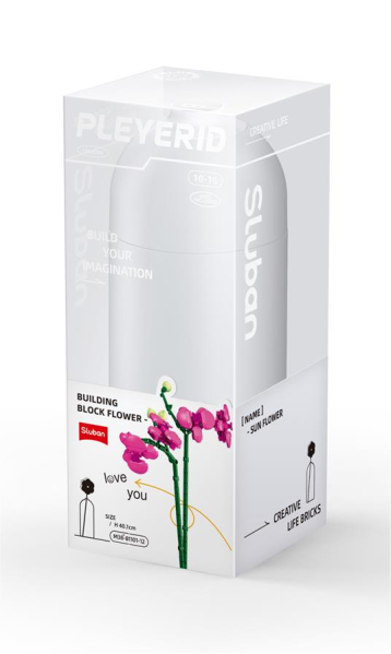 SLUBAN PLEYERID-BUTTERFLY ORCHID — immagine 1