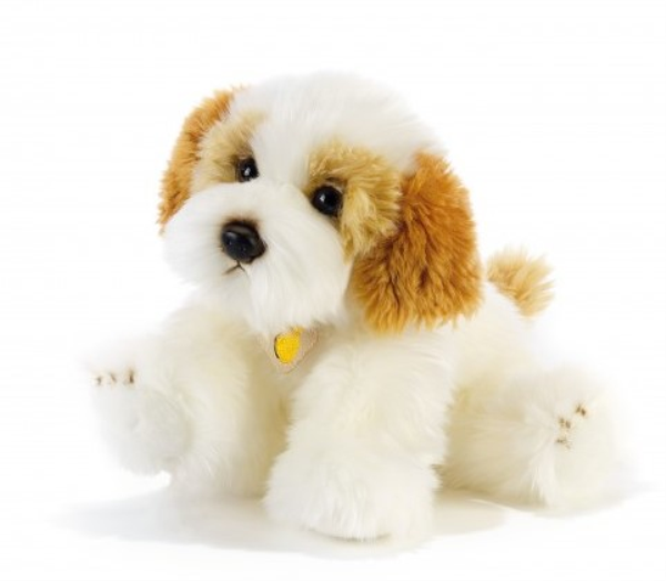 CANE KING CHARLY - CAVACHON 30CM L.