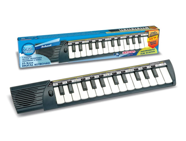 CONCERTINO 25 tasti CONCERTINA