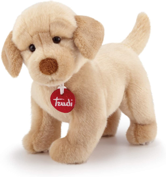 TRUDI LABRADOR LIAM 22872