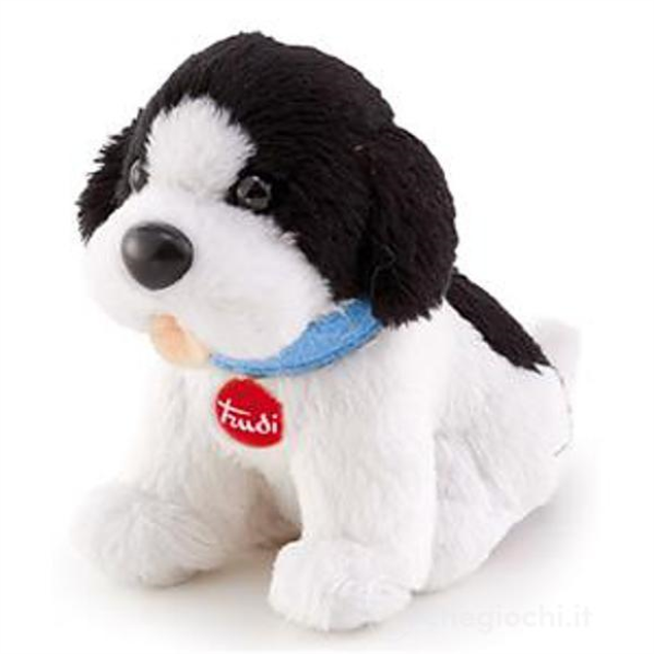 TRUDI SW LABRADOR/TERRANOVA — immagine 1