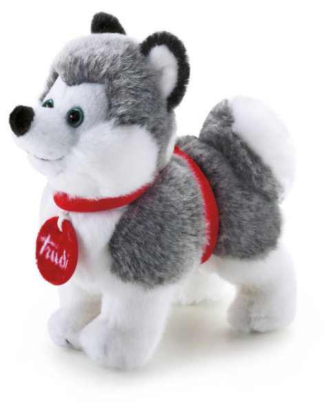 TRUDINO HUSKY — immagine 1