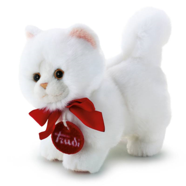 TRUDINO GATTO PERSIANO — immagine 1