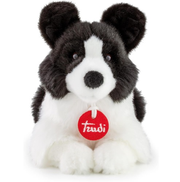 BORDER COLLIE SCOTT SMALL