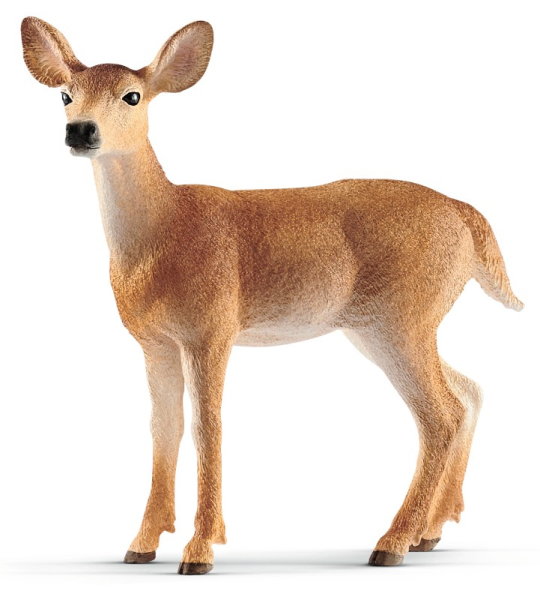 SCHLEICH FEMMINA DI CERVO VIRGINIANO — immagine 1