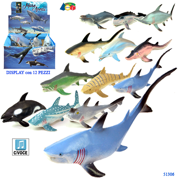 BOX PESCI OCEANICI ASS.(12) — immagine 1