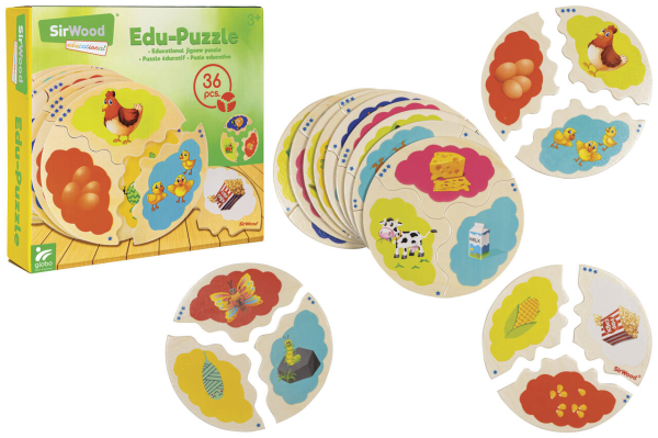 LEGNO PUZZLE IMPARA L.EVOLUZIONE 36PZ — immagine 1