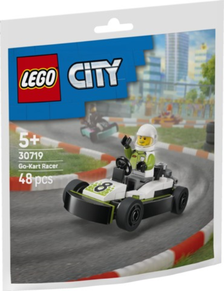 LEGO 30719 Pilota di Go-Kart — immagine 1