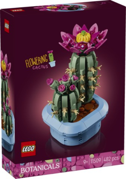 LEGO 11509 Cactus in fiore — immagine 1