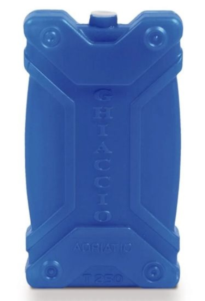 PIASTRA GHIACCIO T250