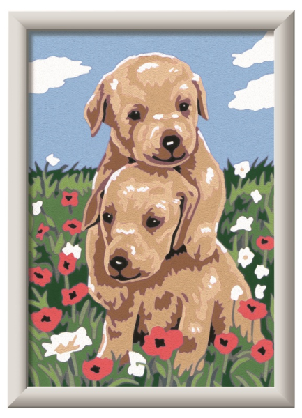 CreArt Serie E CUDDLY GOLDEN RETR